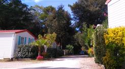 Camping les Ombrages