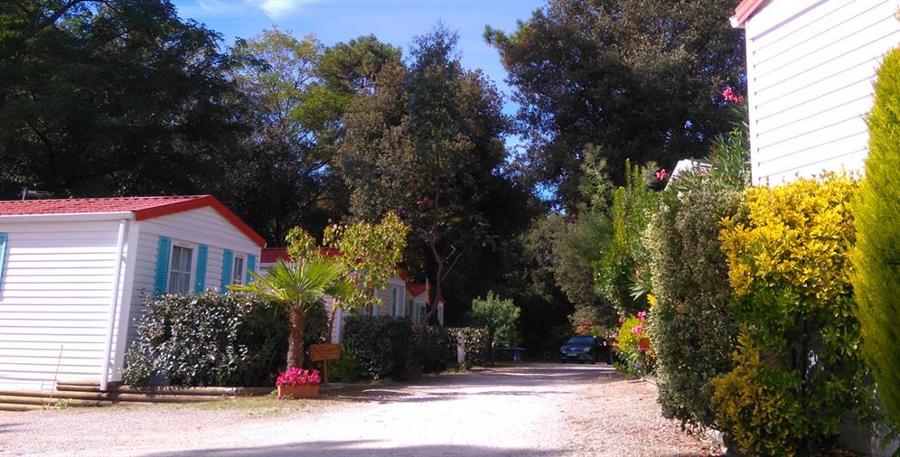 Camping les Ombrages