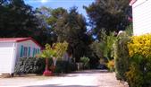 Camping les Ombrages