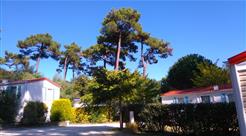 Camping les Ombrages