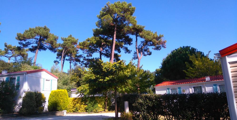 Camping les Ombrages