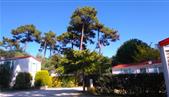 Camping les Ombrages