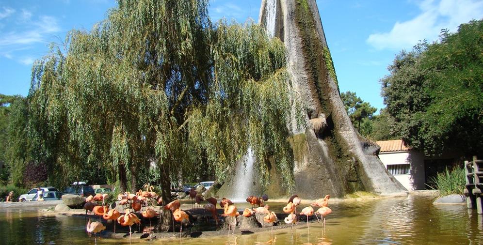 Camping les Ombrages