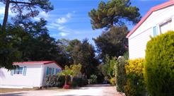 Camping les Ombrages