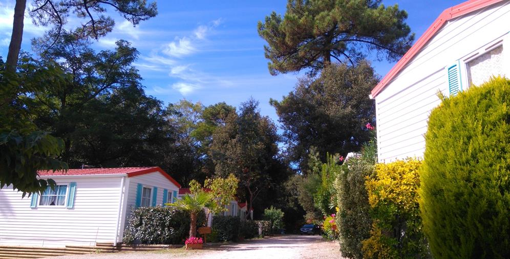 Camping les Ombrages