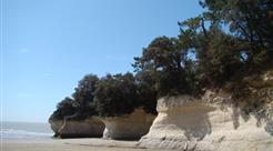 Camping les Ombrages