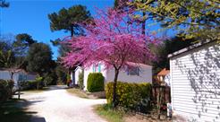 Camping les Ombrages
