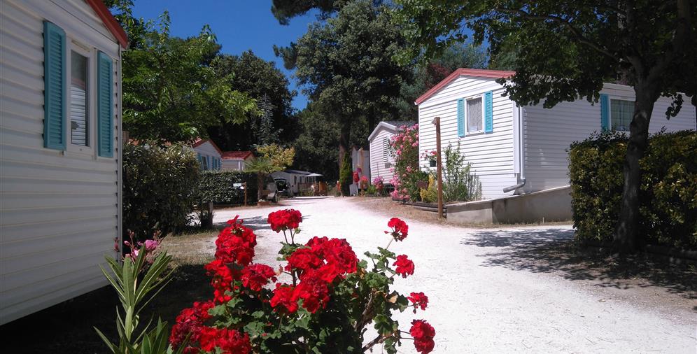 Camping les Ombrages